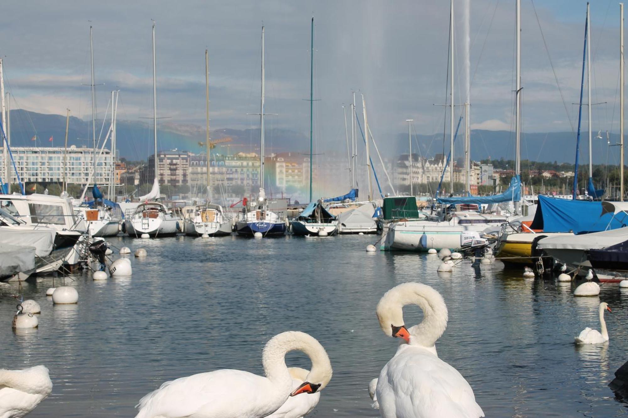 Hotel The Ambassador Ginebra